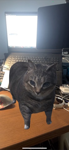 Oiia Cat AR iPhone screenshot