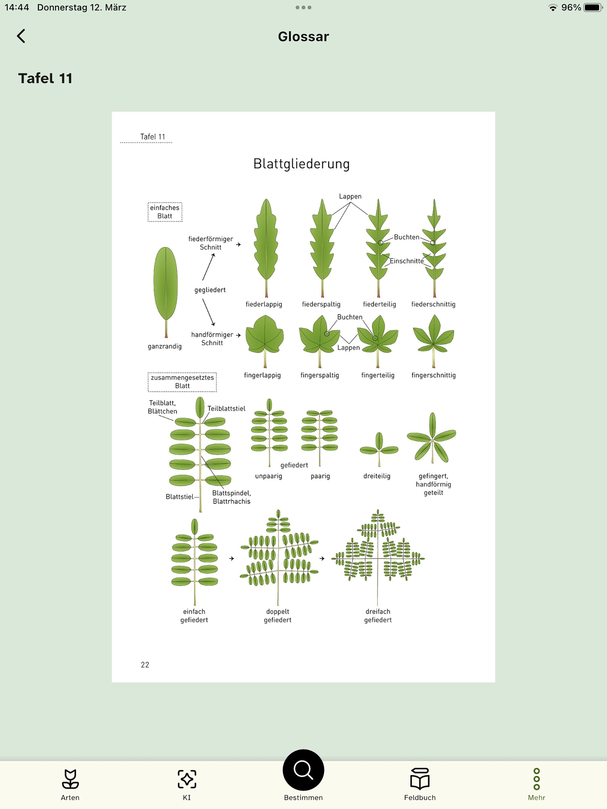 Flora Helvetica
