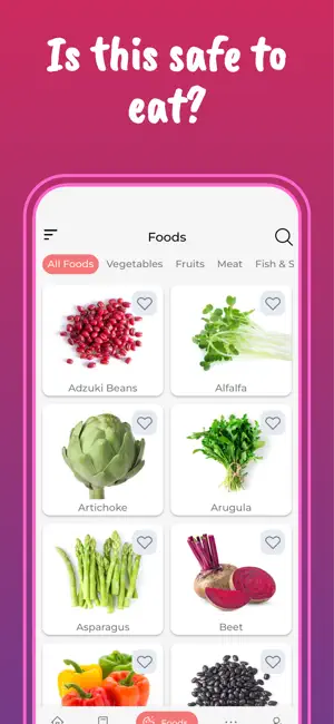 Pregnancy Diet - Food Guide screenshot 2