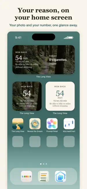 The Long View: Quit Smoking screenshot 2