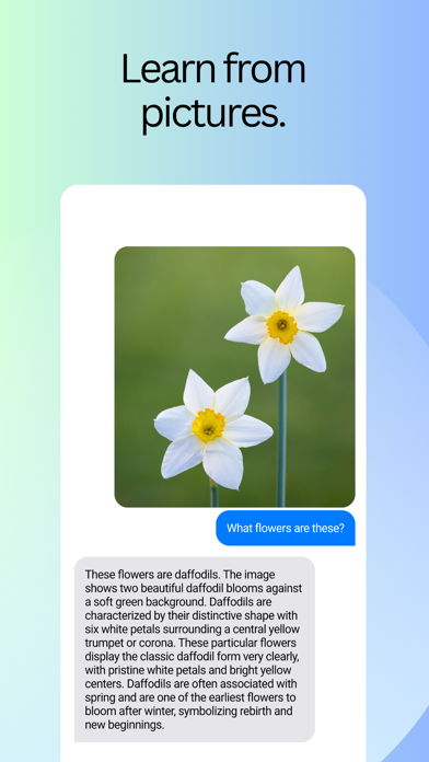 Mume AI Screenshot