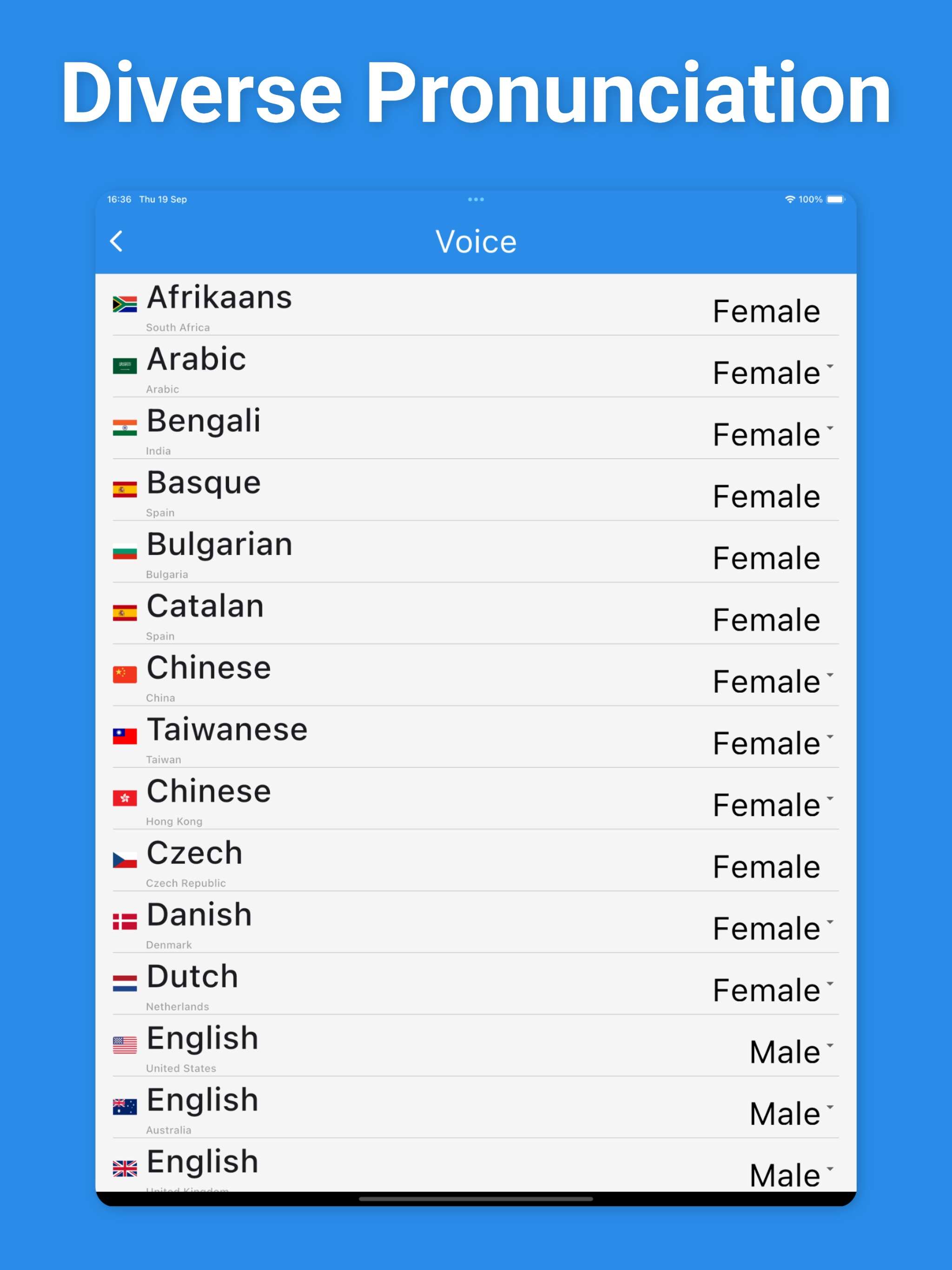 Dutch Translator & More +
