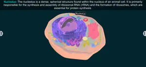 Animal Cell by EduTech Era screenshot 3