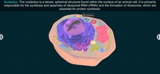Animal Cell by EduTech Era iPhone screenshot