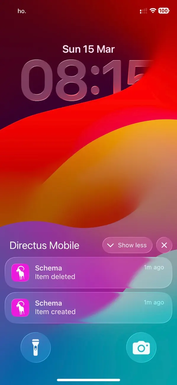 Screenshot #3 pour Directus Mobile