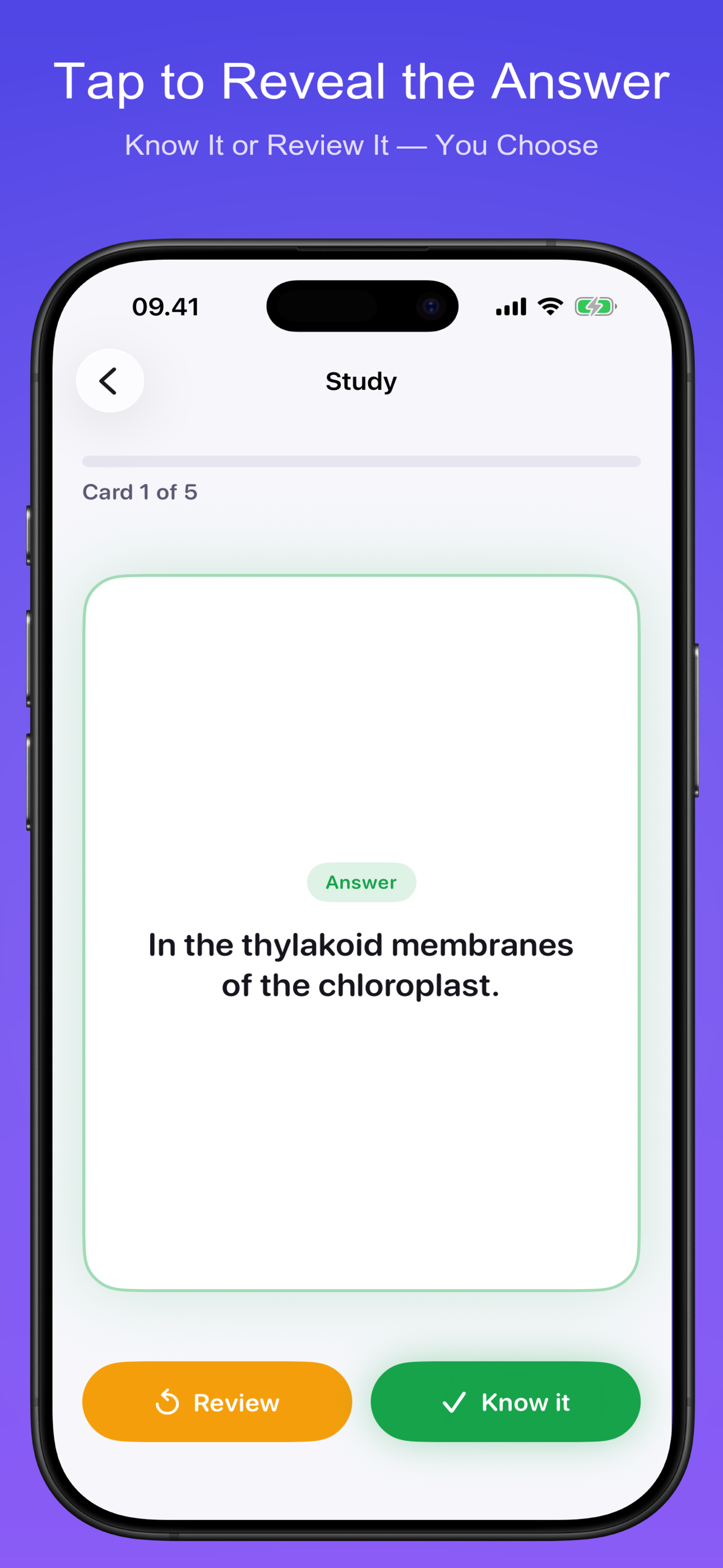 SnapDeck AI: Flashcards screenshot 6