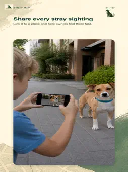 Stray Map screenshot 8