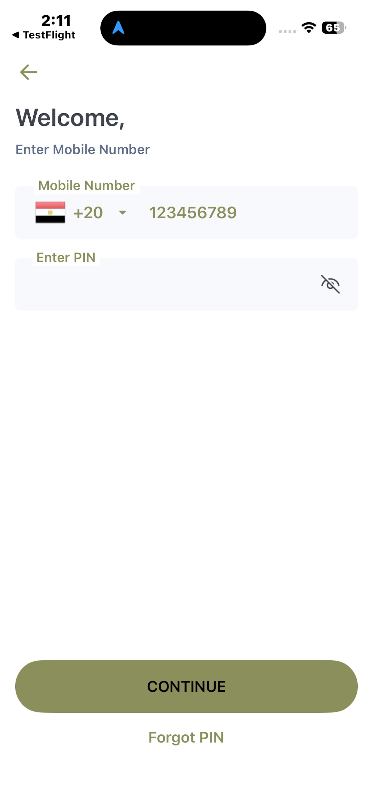 Screenshot 2 of Najm Chauffeur