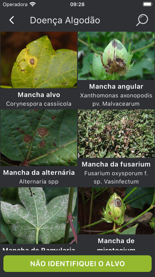 #2. ADAMA Alvo (iOS) 由: ADAMA AGRICULTURAL SOLUTIONS LTD