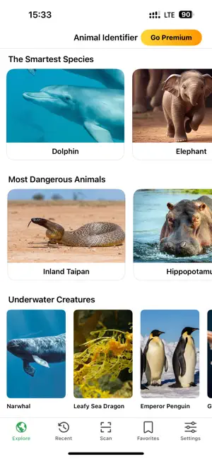 Bird Identifier: Photo & Sound screenshot 4