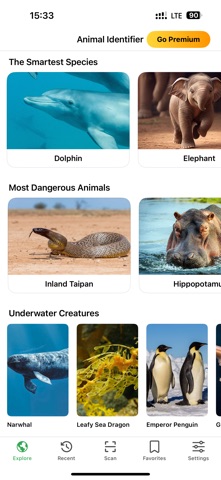 Bird Identifier: Photo & Sound screenshot