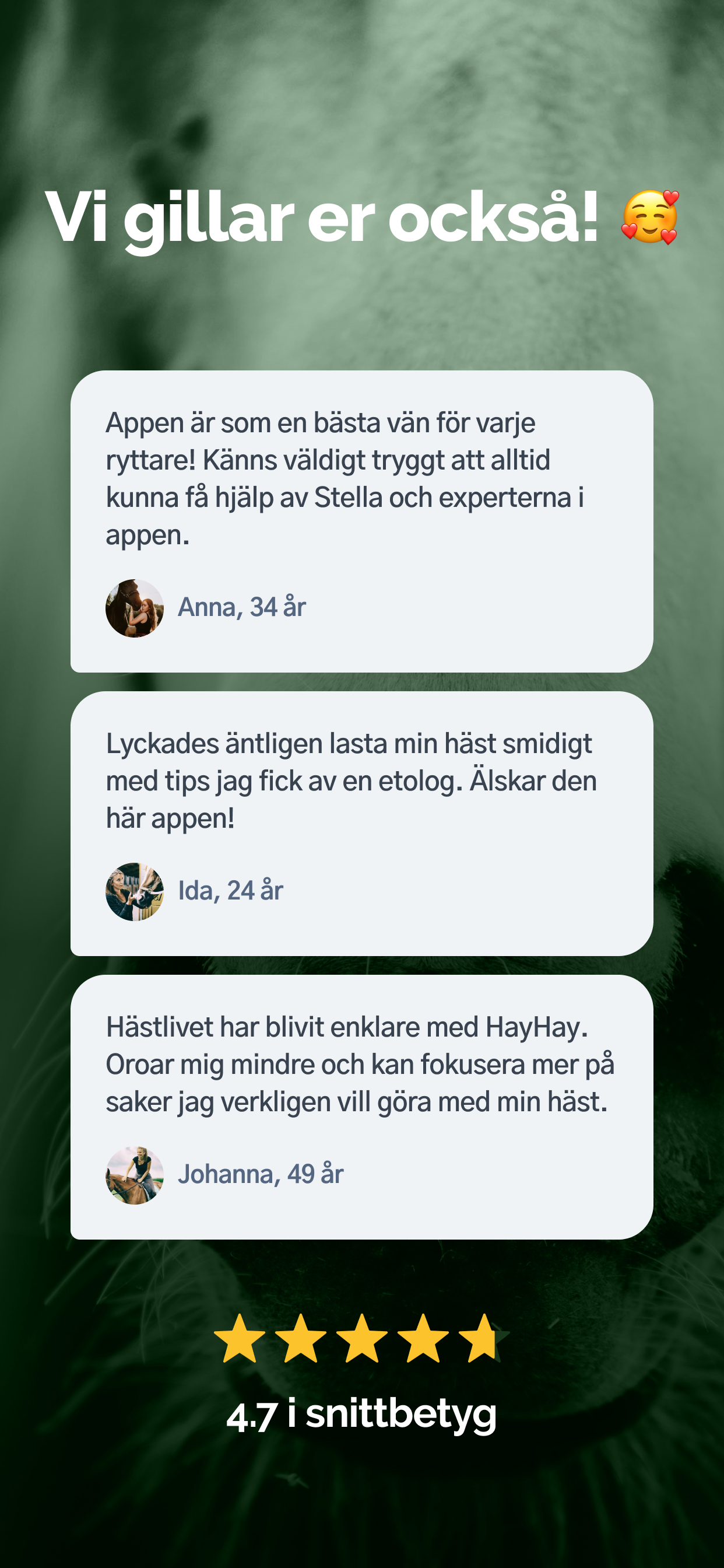 HayHay: För häst & ridning