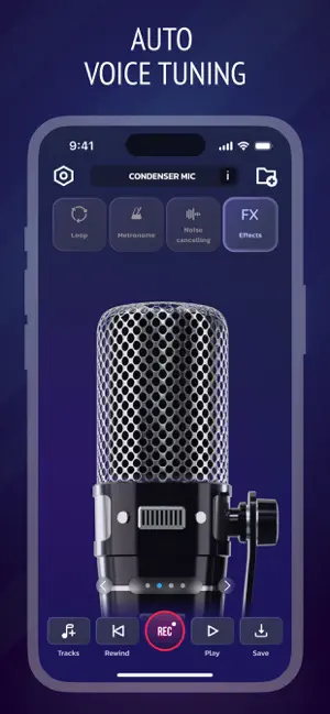Pro Microphone: Voice Record screenshot 3