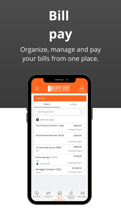 North Shore Trust and Savings Screenshot