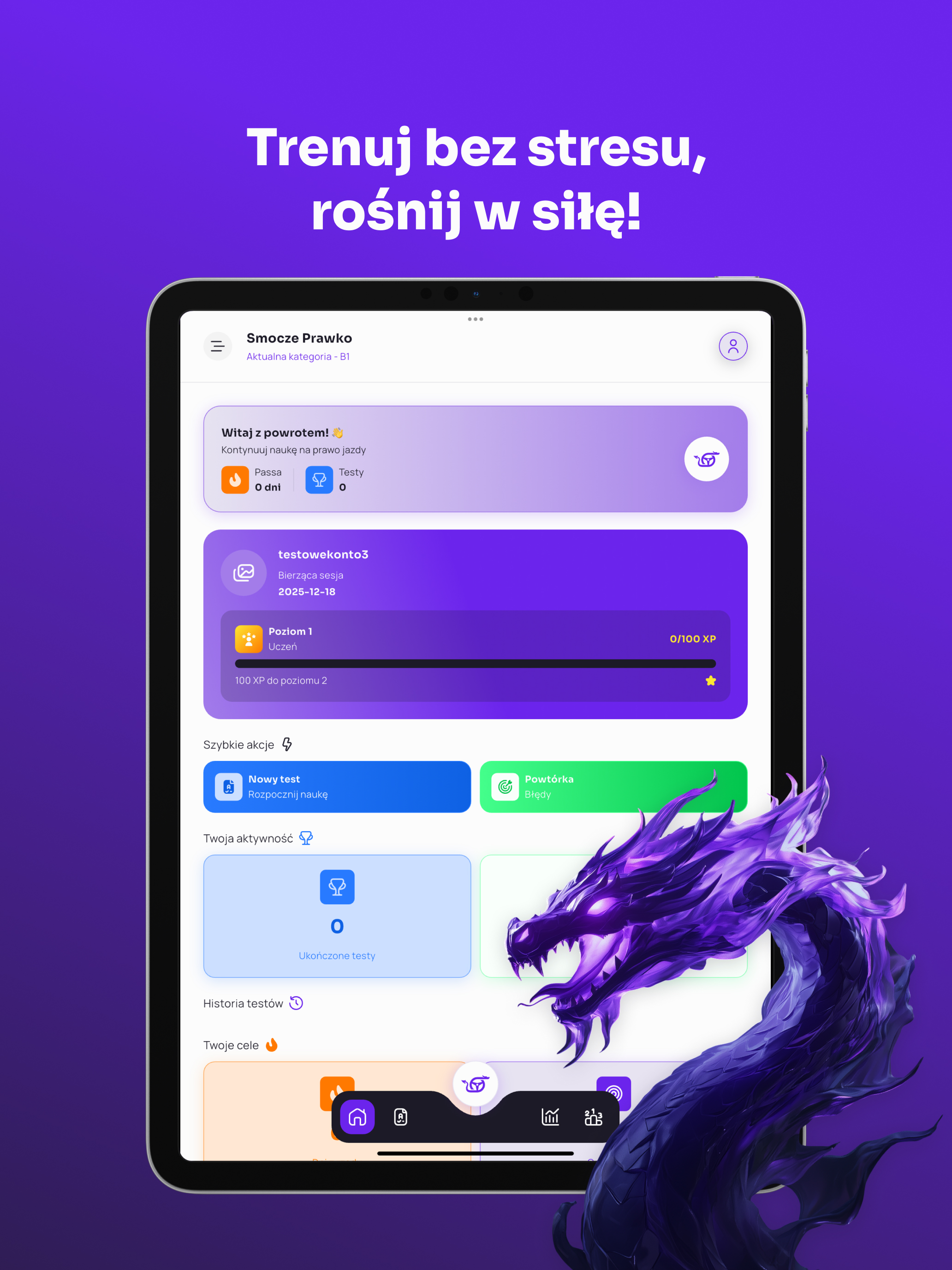 Smocze Prawko screenshot 10