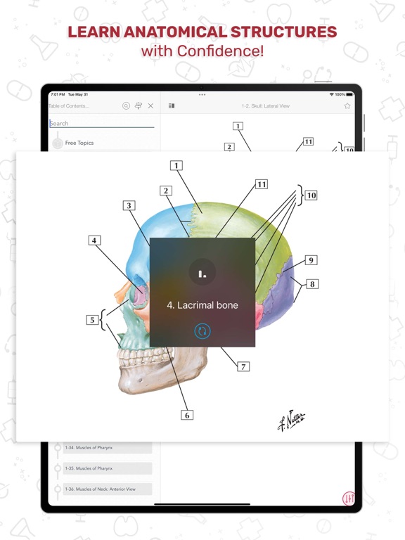 Netters Anatomy Flash Cards iPad screenshot 4 - Medical app
