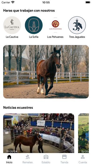 Equinomio Screenshot