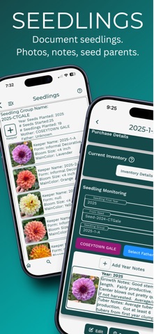 Dahlia Wizard - Plan & Trade iPhone screenshot