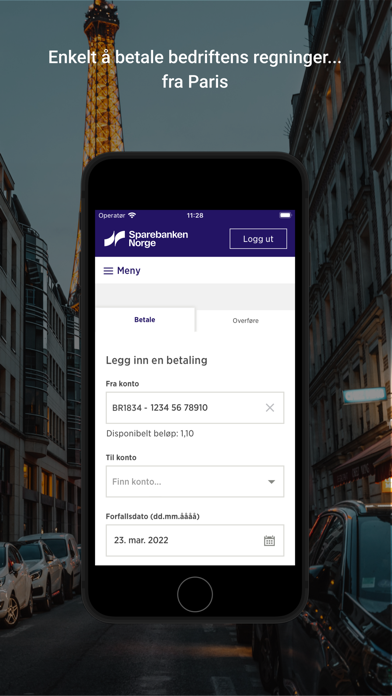 Sparebanken Norge Bedrift-Sør Screenshot
