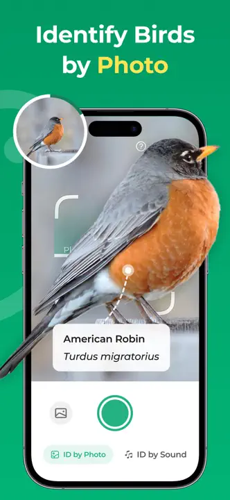 Bird Identifier: Screenshot 1 von 6