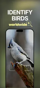 Avifauna Identifier: Birds ID screenshot #3 for iPhone