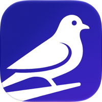 Roost Social: Penpal & Friends