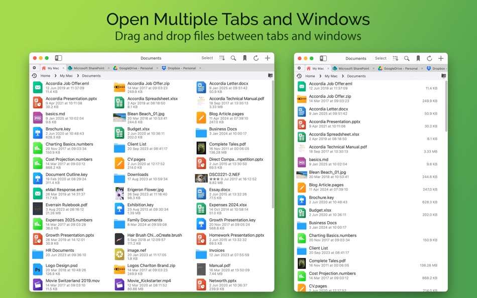 #6. FileBrowser Pro (macOS) 由: Stratospherix Ltd