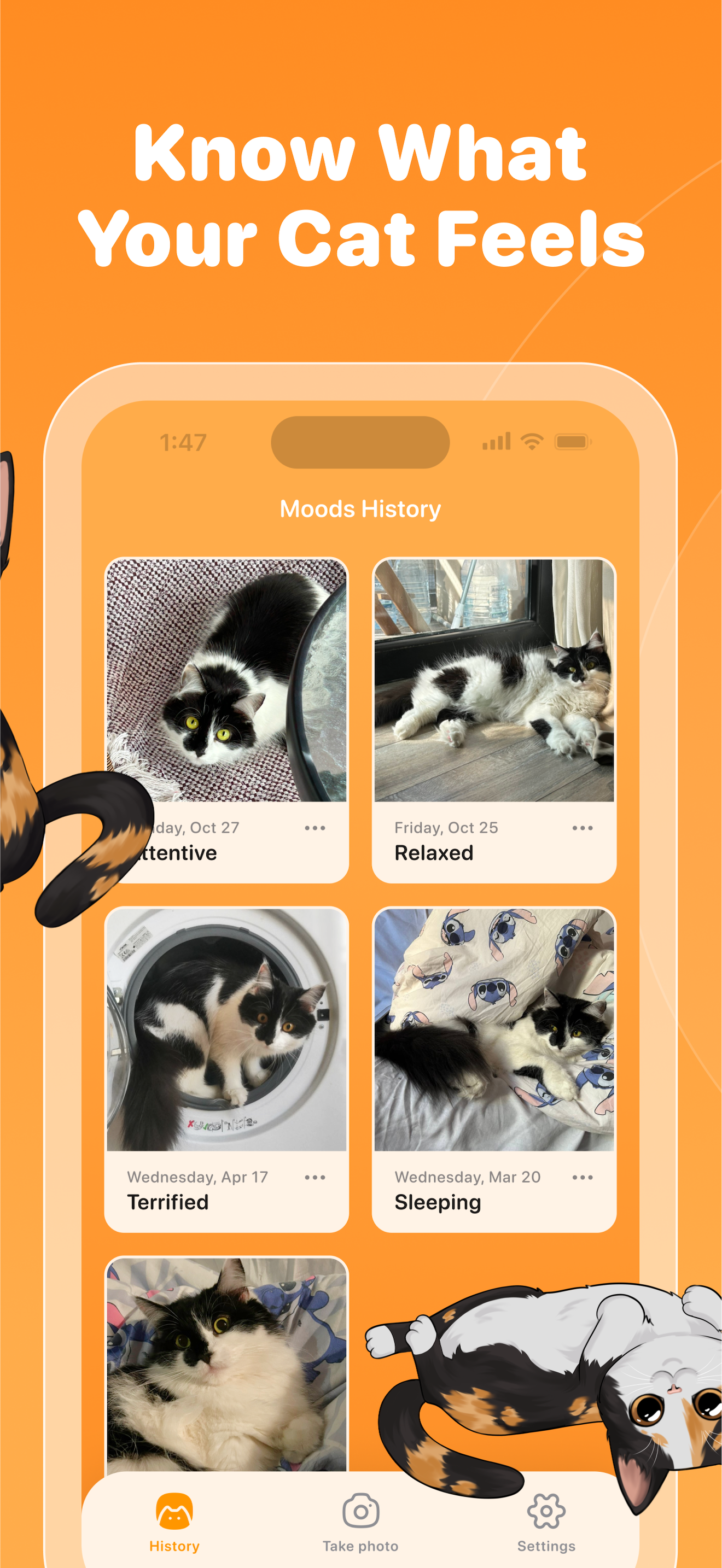 Cat Body Language Recognizer
