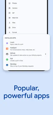 Google Chat screenshot 7