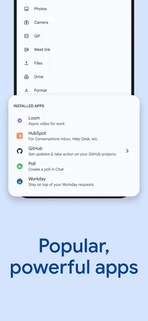 Google Chat screenshot 7