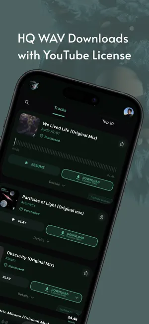 MimSoul: Electronic Music screenshot 3