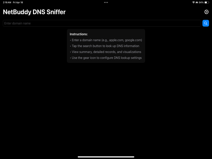 NetBuddy DNS Sniffer