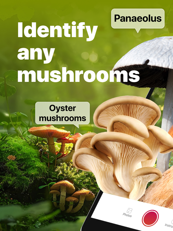 Screenshot #1 for Picture Mushroom: Identifier