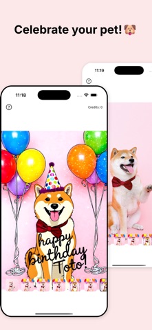 DsignIt screenshot