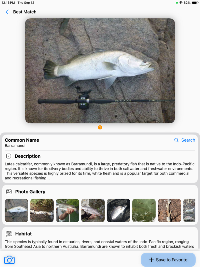 Fish Identify AI Scanner