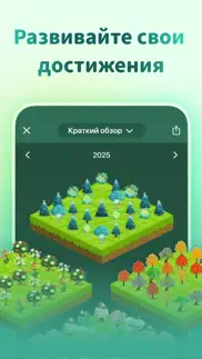 forest - Сосредоточьтесь айфон картинки 4