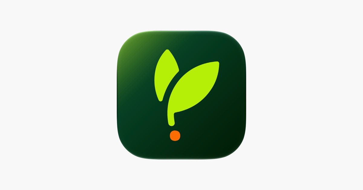 ‎Sprout: Learn English App - App Store