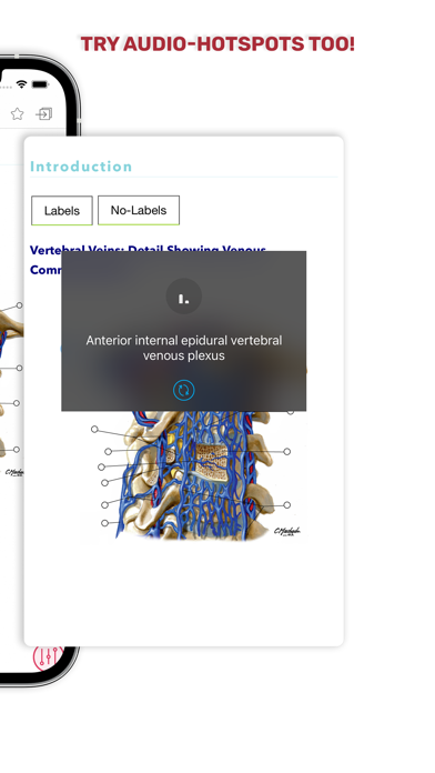 Human Anatomy Atlas + Screenshot