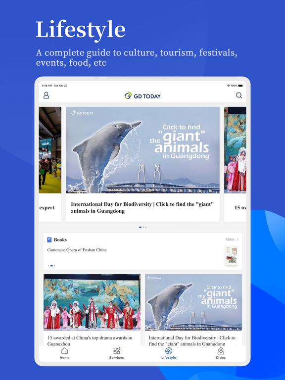 Screenshot #6 pour South APP
