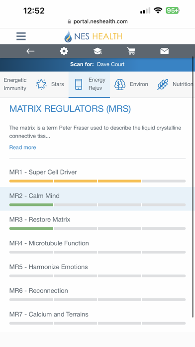 NES Health Screenshot