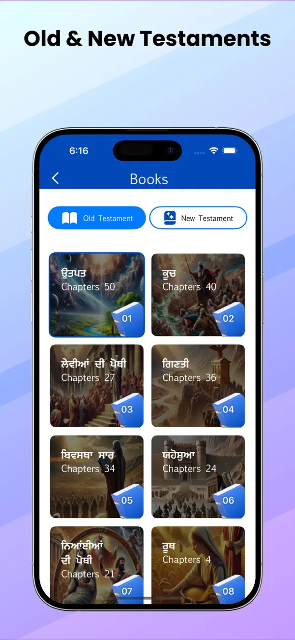 Screenshot #2 pour Punjabi Bible