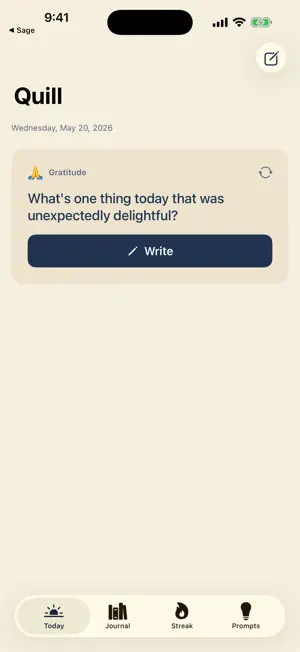 Quill: Daily Diary screenshot 1