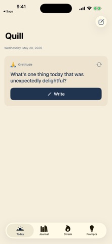Quill: Daily Diary iPhone screenshot