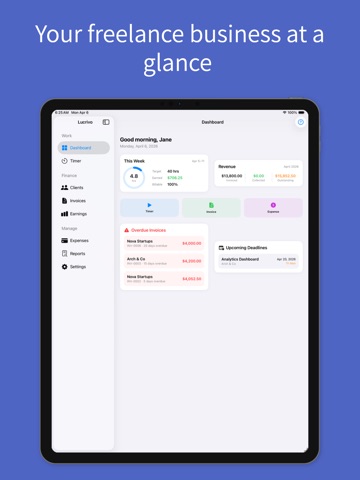 Billora - Freelance Tracker iPad screenshot