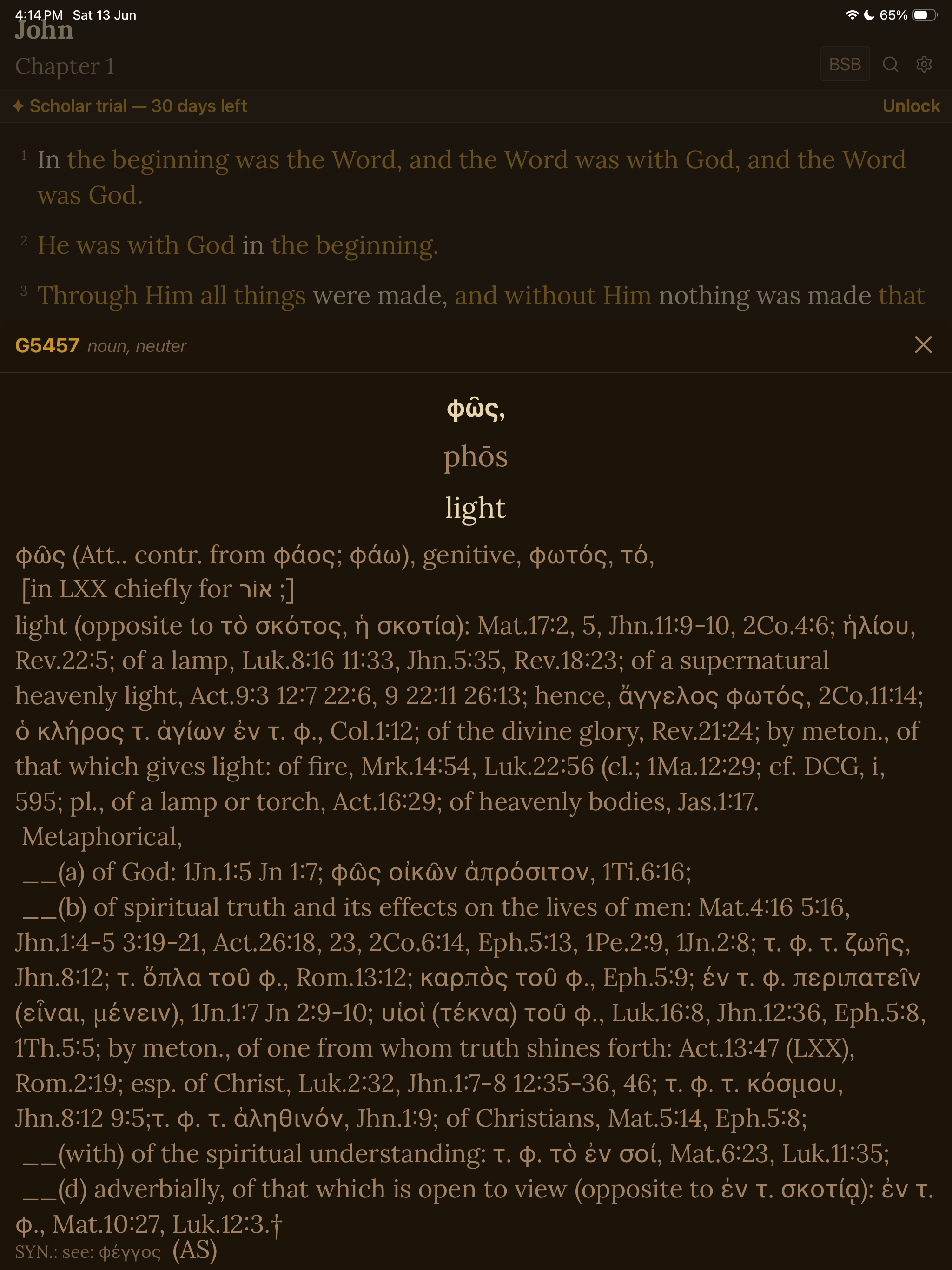 Bible Study - Scribe Scholar screenshot 11