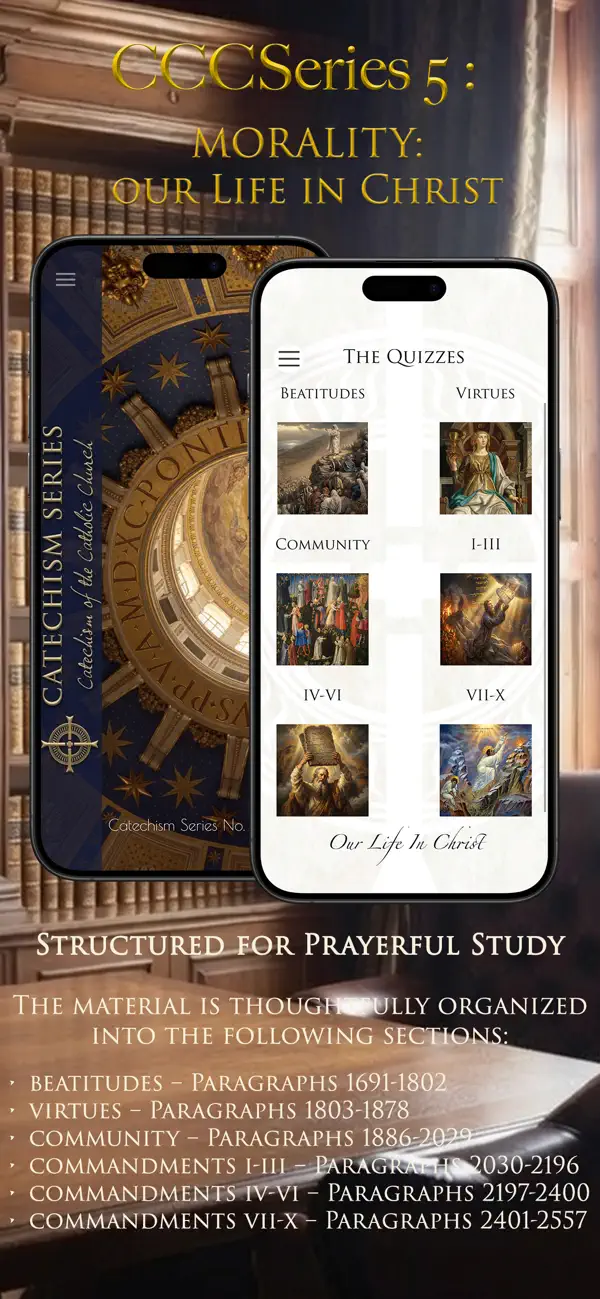 Screenshot #2 pour CCCSeries 5: Catechism Quiz