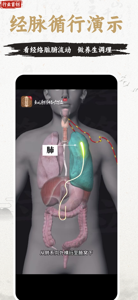 知源经络穴位-3D人体解剖与中医针灸推拿舌诊真人视频图谱大全 screenshot 4