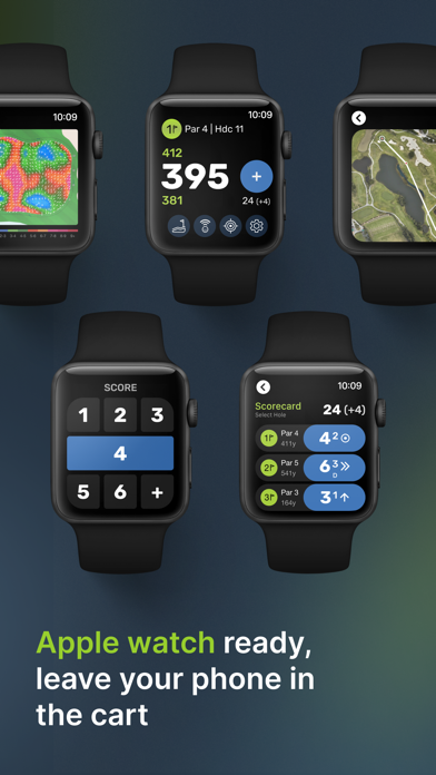 TheGrint: Golf Handicap iPhone screenshot