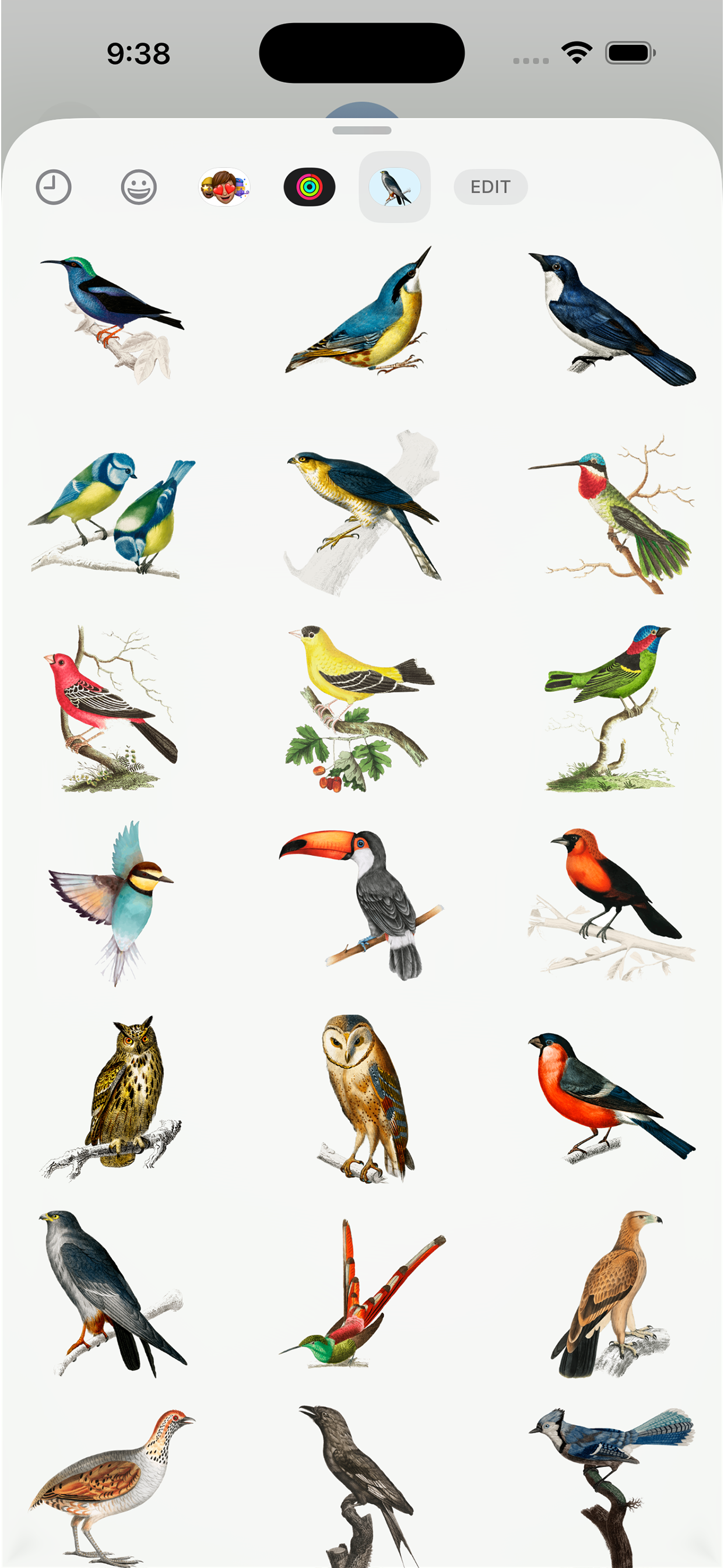 Vintage Bird Stickers screenshot 3
