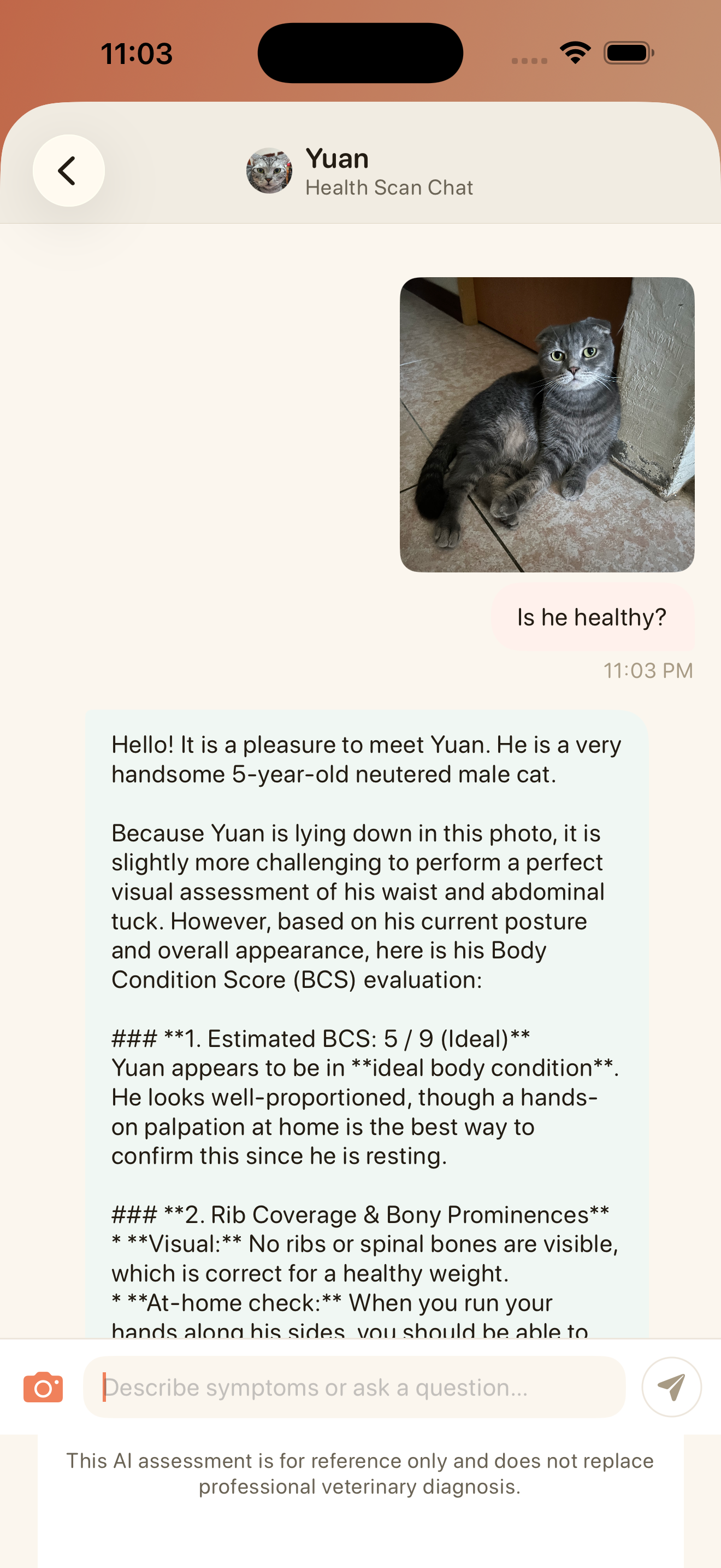 Pawinsight: AI Pet Health